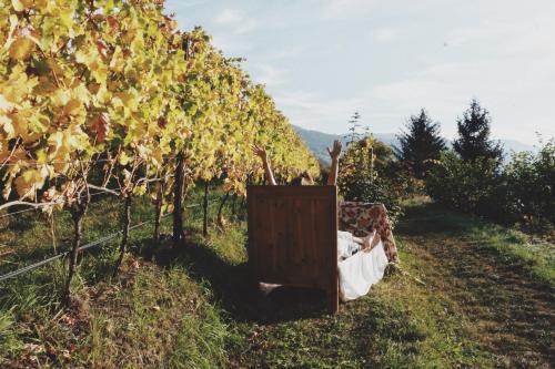 Haller Suites&restaurant Hotel Brixen